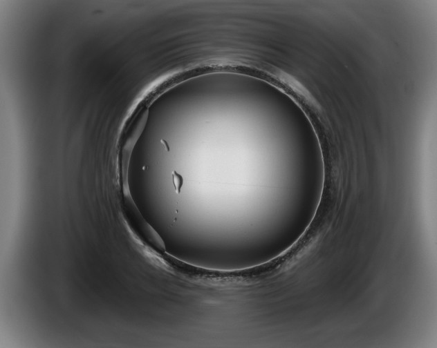 X0000086000934200703300944