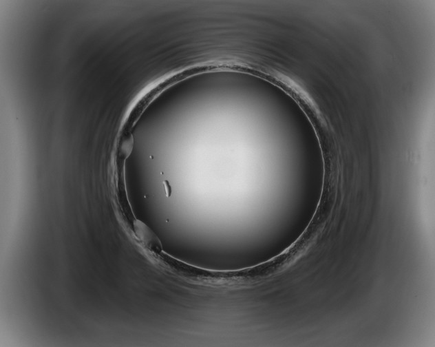 X0000086000936200703300944