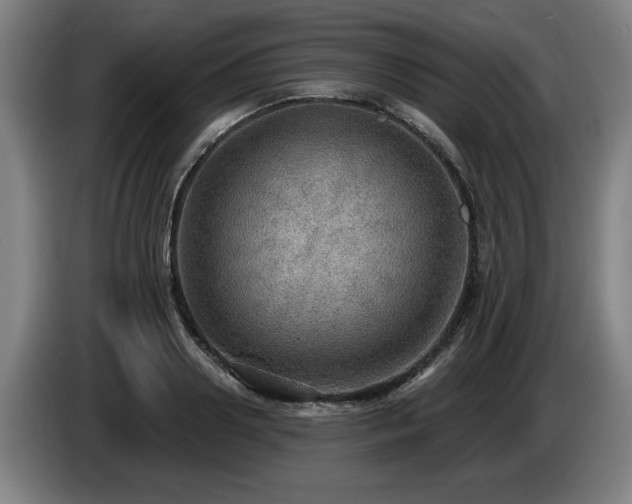 X0000086000938200703300944