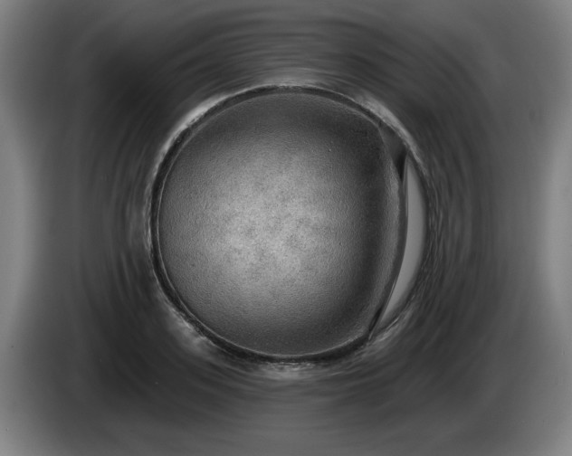 X0000086000939200703300944