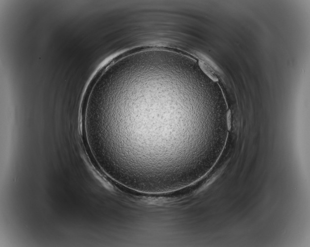 X0000086000940200703300944