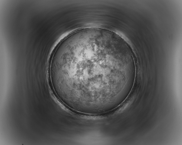 X0000086000941200703300944