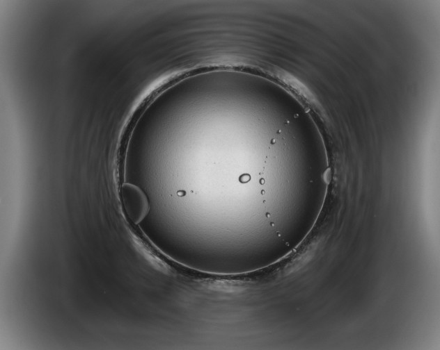 X0000086000942200703300944