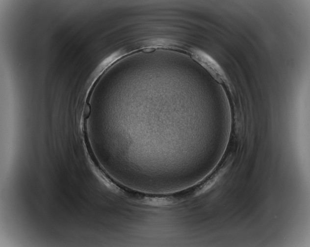 X0000086000946200703300945