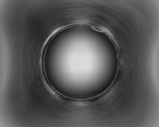 X0000086000947200703300945