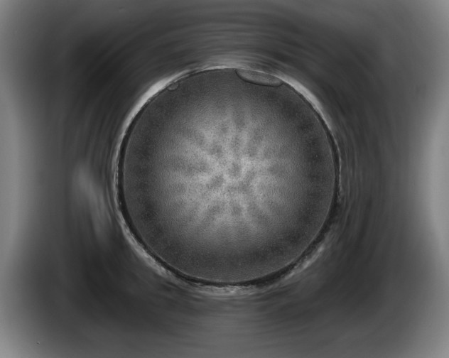 X0000086000949200703300945