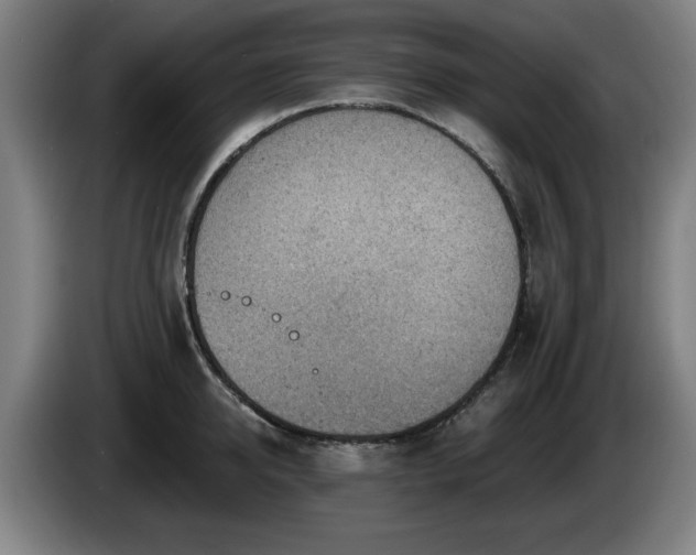 X0000086000950200703300945