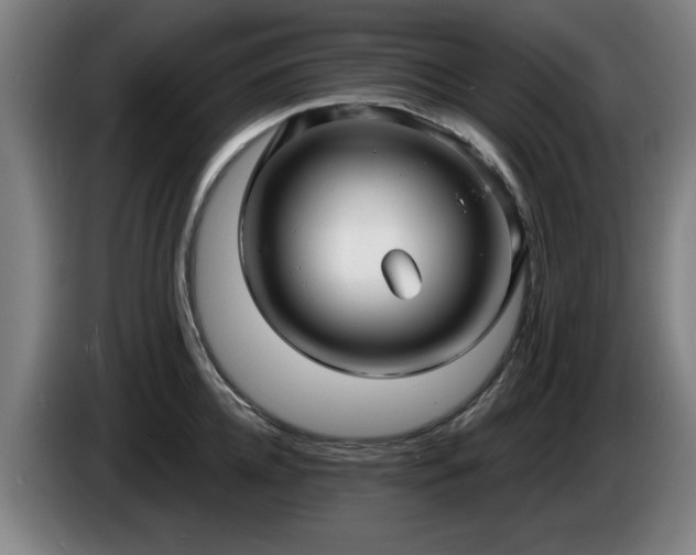 X0000086000952200703300945