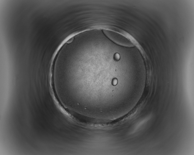 X0000086000955200703300945