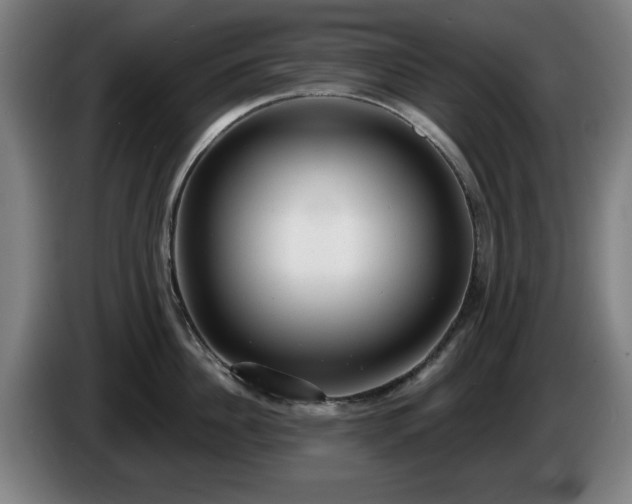 X0000086000956200703300945