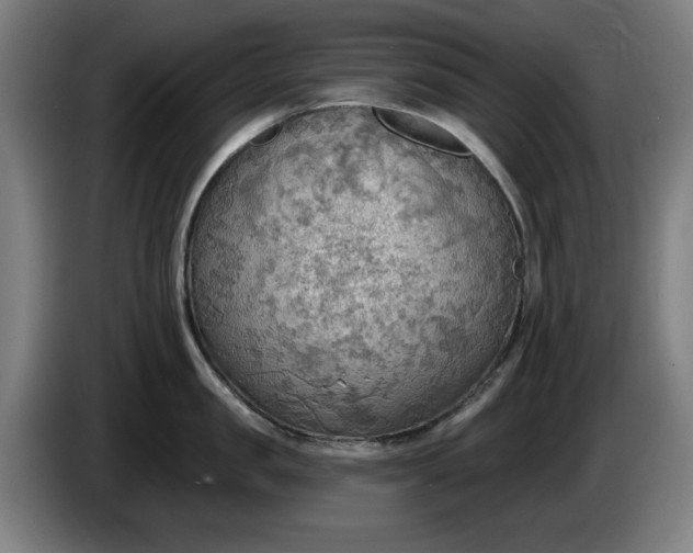 X0000086000957200703300945