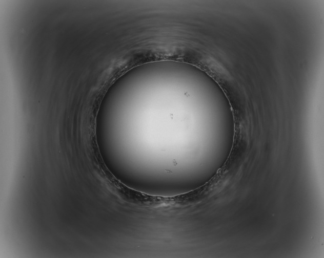 X0000086000961200703300944