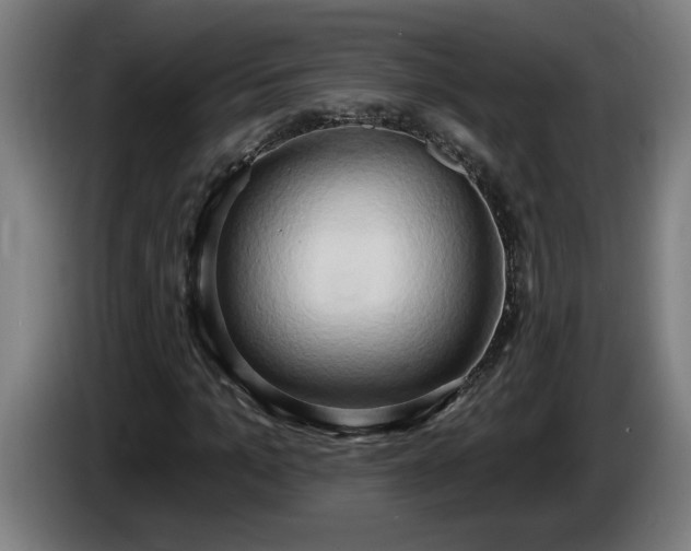 X0000086000965200703300944