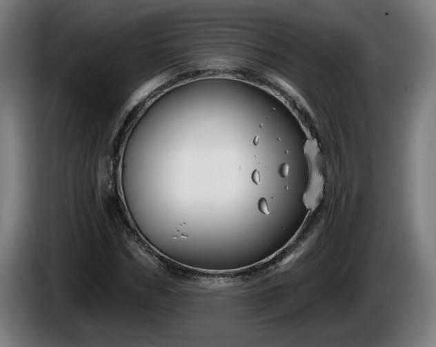 X0000086000970200703300944