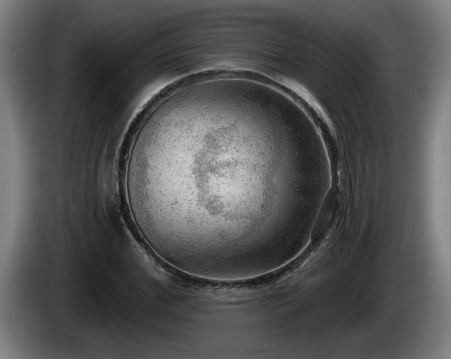 X0000086000972200703300944