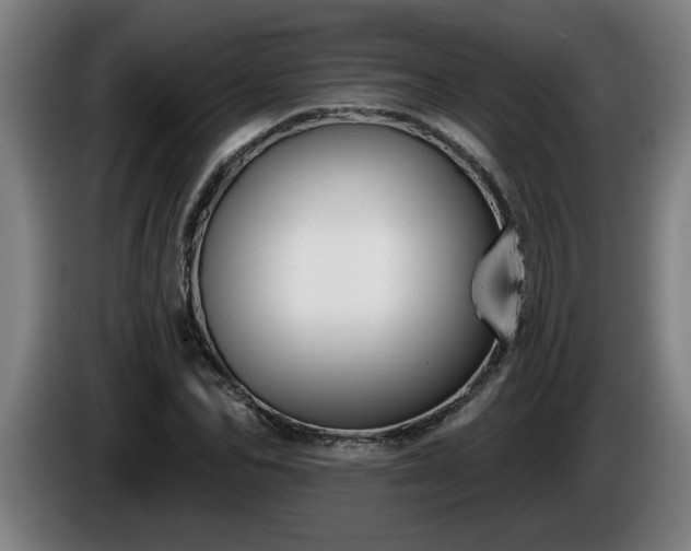 X0000086000974200703300944