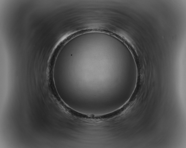 X0000086000975200703300944