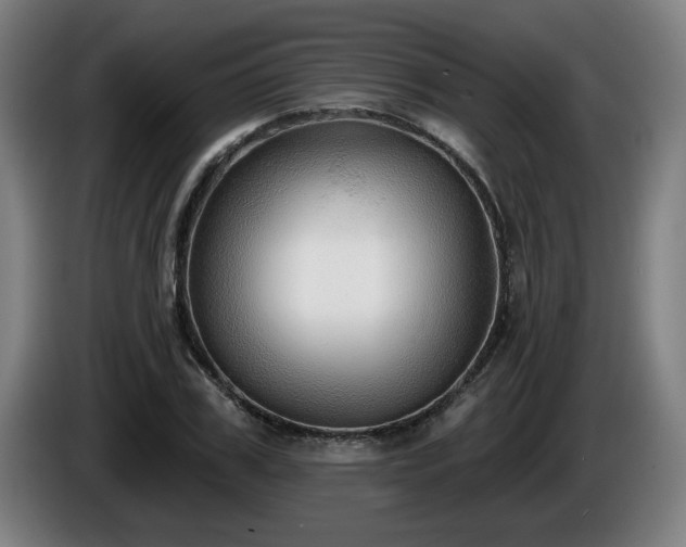 X0000086000979200703300944