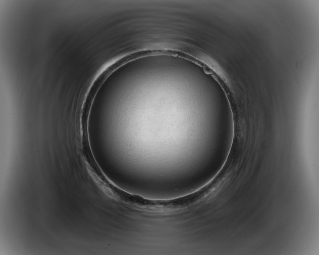 X0000086000980200703300944