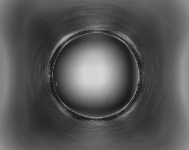 X0000086000981200703300944