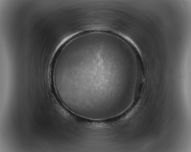 X0000086000983200703300944