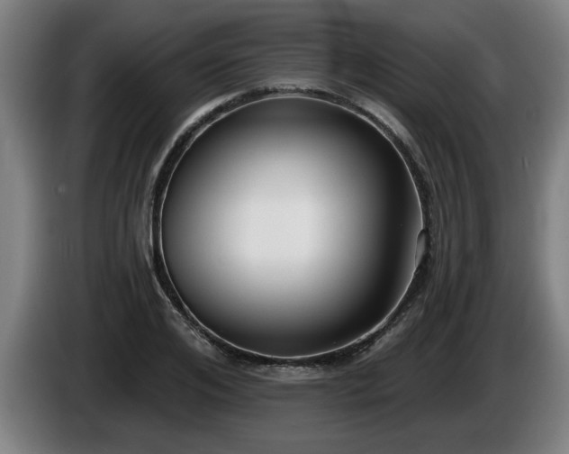 X0000086000984200703300944