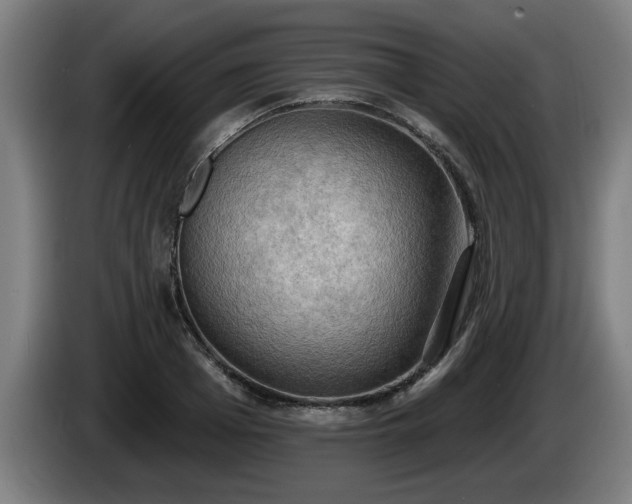 X0000086000985200703300944