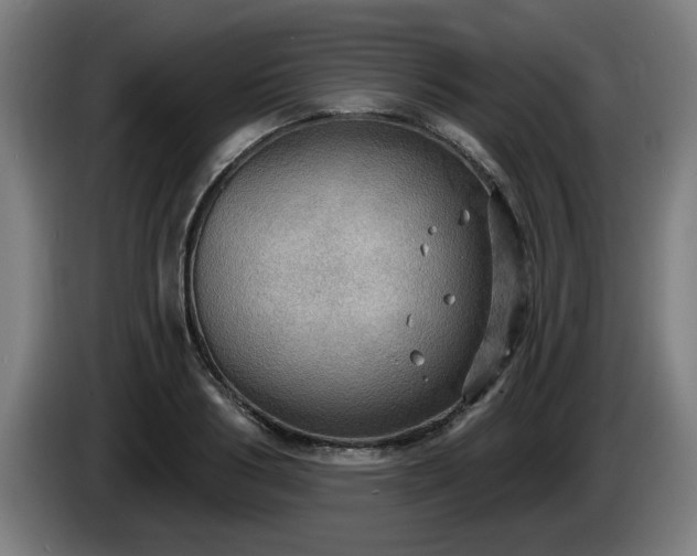 X0000086000986200703300944