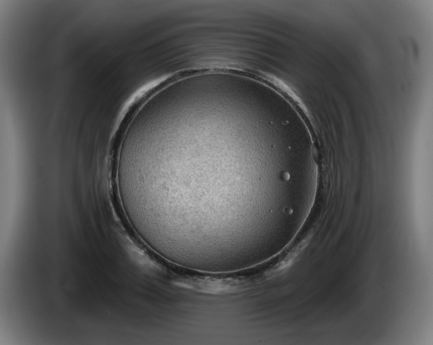 X0000086000987200703300944