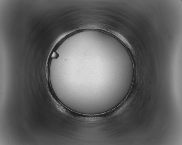 X0000086000988200703300944