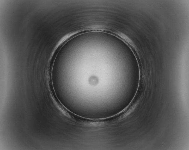 X0000086000989200703300944