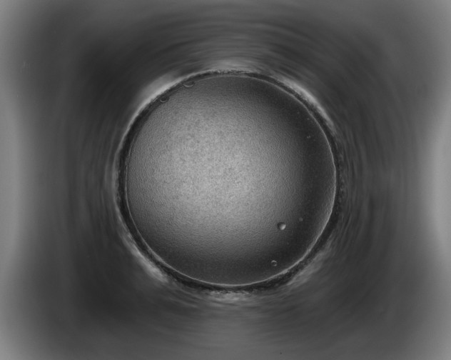 X0000086000991200703300944