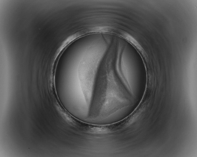 X0000086000994200703300944