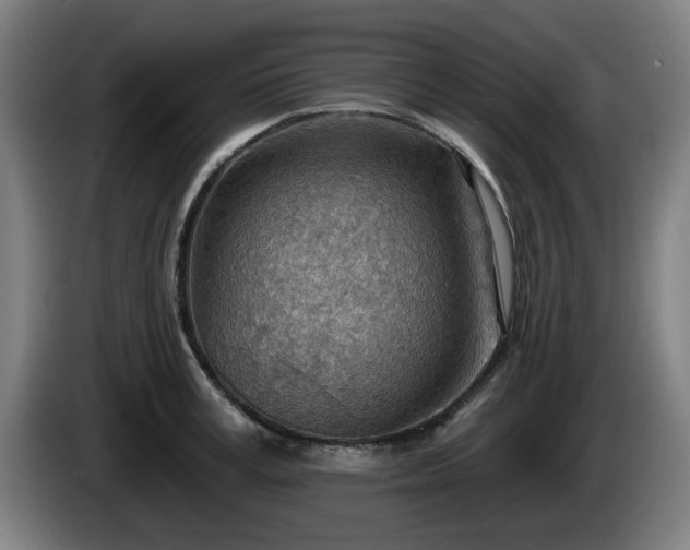 X0000086000995200703300944