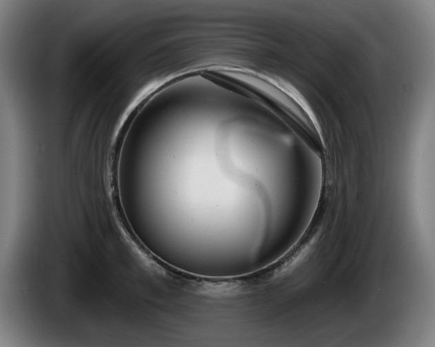 X0000086000997200703300944