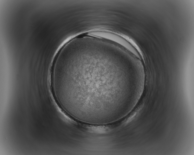 X0000086000999200703300944