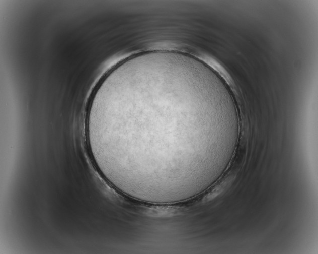 X0000086001000200703300944