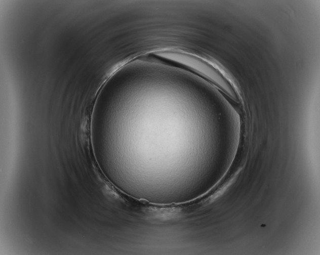 X0000086001001200703300943