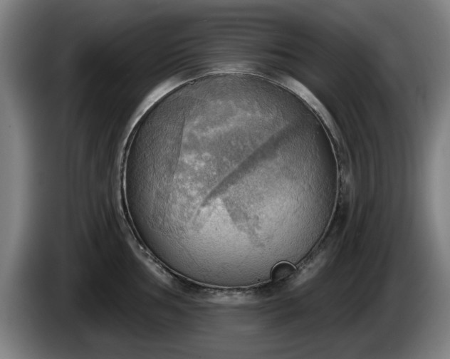 X0000086001002200703300943