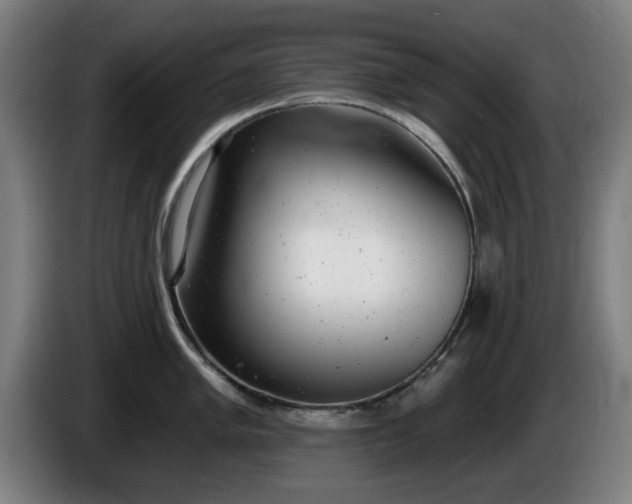 X0000086001005200703300943