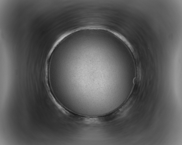 X0000086001006200703300943