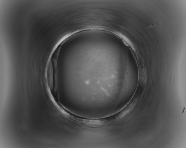 X0000086001007200703300943