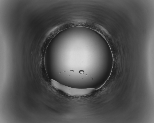 X0000086001016200703300943