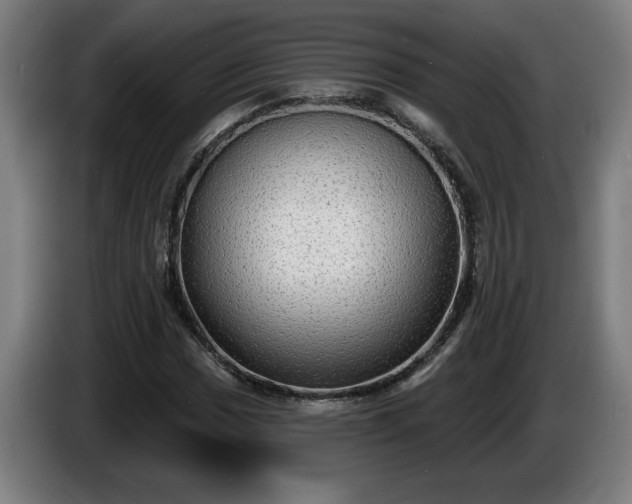 X0000086001017200703300943