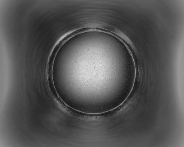 X0000086001020200703300943