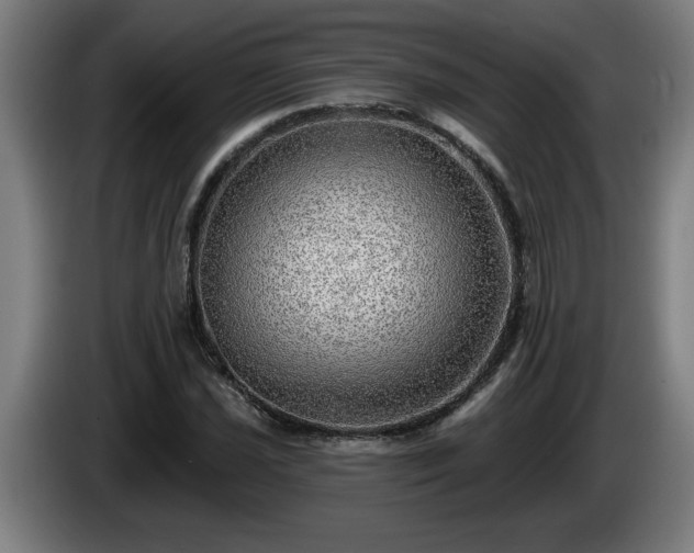 X0000086001021200703300943