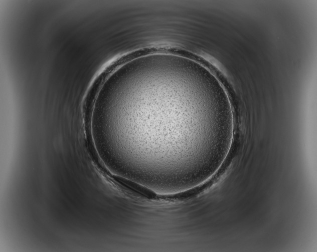 X0000086001022200703300943