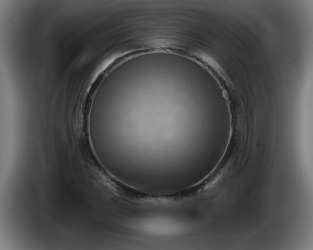 X0000086001023200703300943