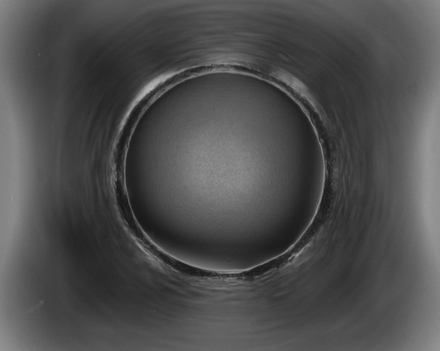 X0000086001024200703300943