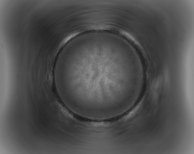 X0000086001025200703300943